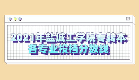 盐城工学院专转本投档分数线